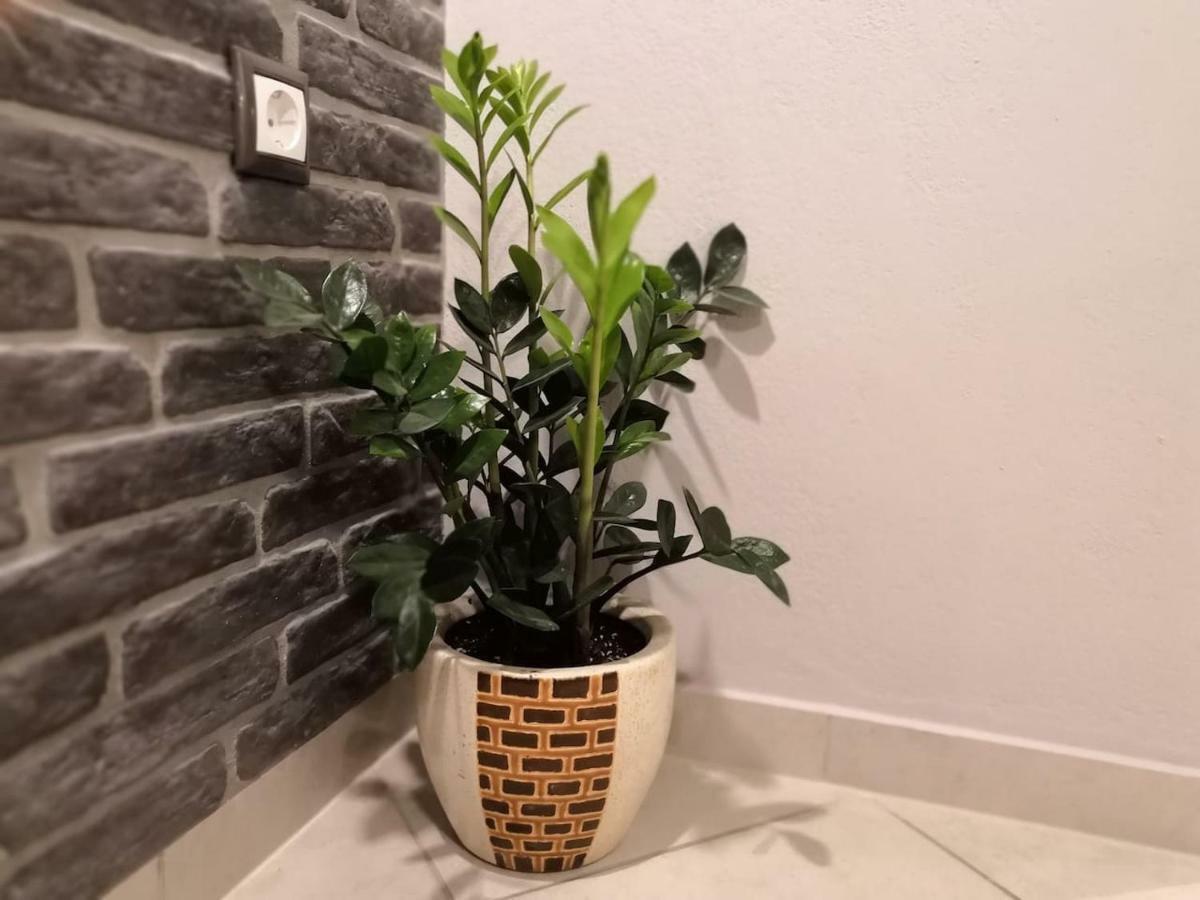 Gekas Deluxe Apartment Kalambáka Kültér fotó