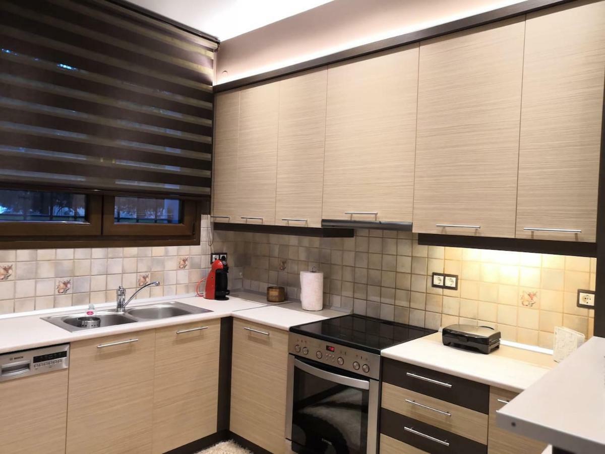 Gekas Deluxe Apartment Kalambáka Kültér fotó