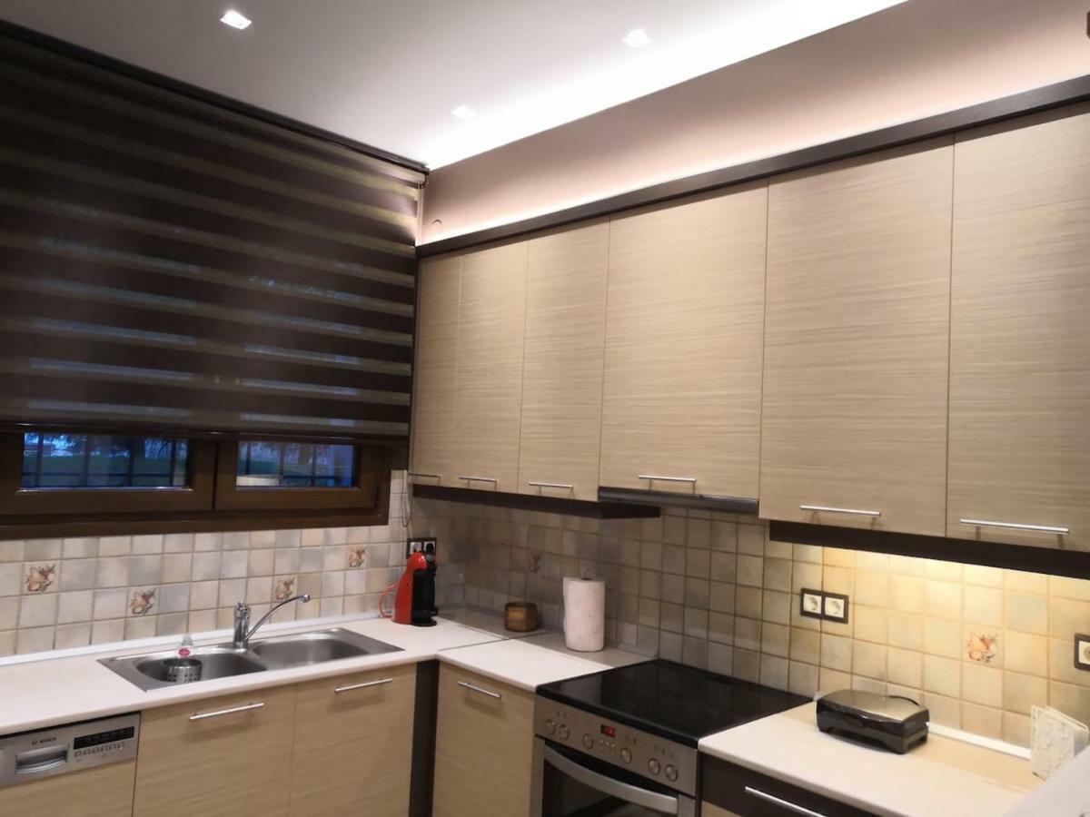 Gekas Deluxe Apartment Kalambáka Kültér fotó